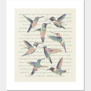 Hummingbird Info Posters and Art